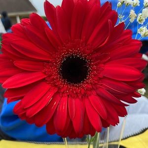 Meet your Posher, Beth